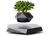 The Profloat Levitating Plant Holder
