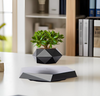 The Profloat Levitating Plant Holder
