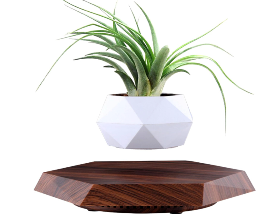The Profloat Levitating Plant Holder