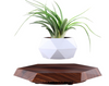 The Profloat Levitating Plant Holder