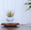 The Profloat Levitating Plant Holder