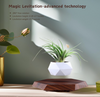The Profloat Levitating Plant Holder