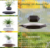 The Profloat Levitating Plant Holder